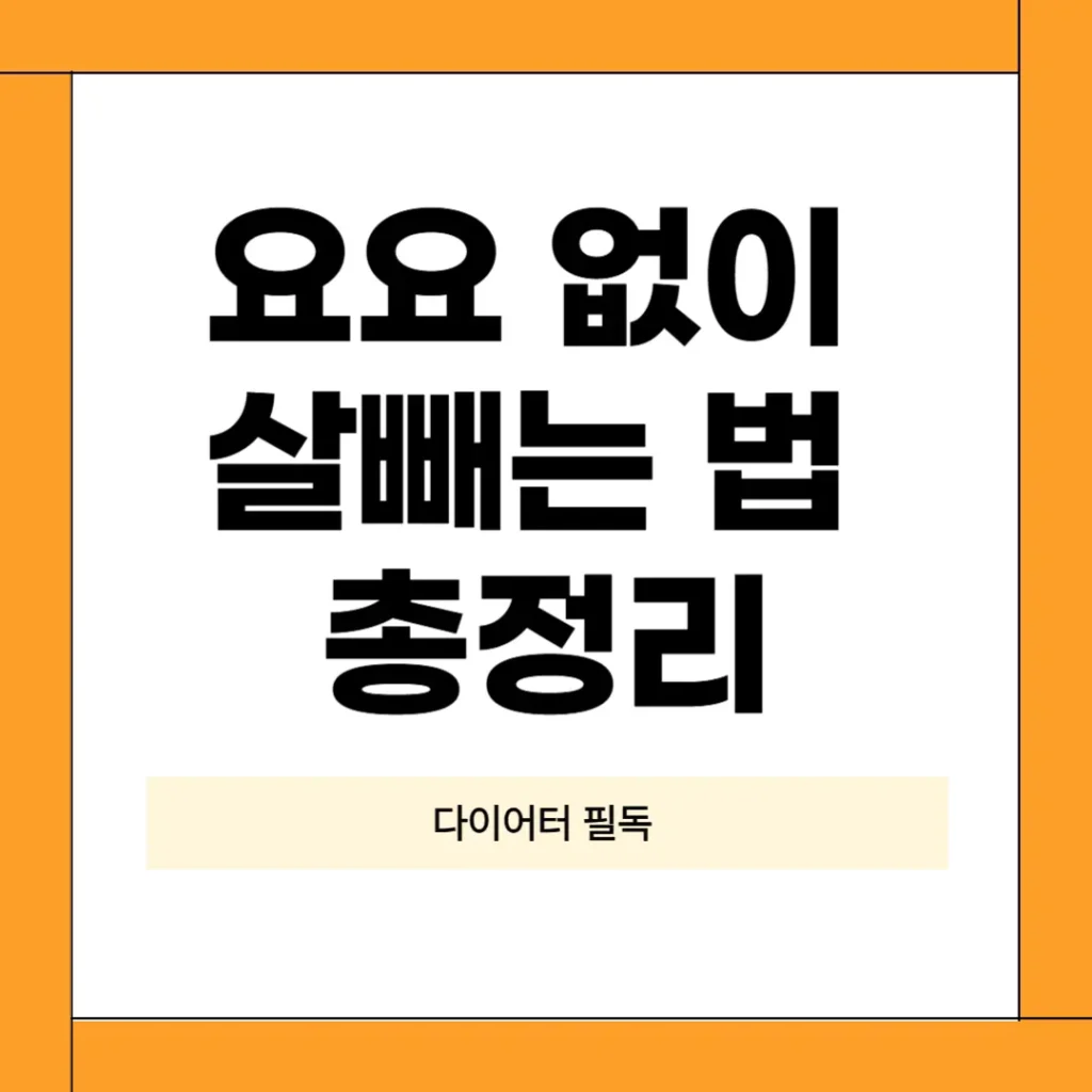 요요 없이 살빼는 법 총정리: 생활습관·식단·단백질 보충제까지 다이어트 유지 전략 가이드 2 살빼는 법